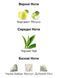 Vilhelm Parfumerie Dear Polly Eau de Parfum 1 ml r-Vilhelm-Parfumerie-Dear-Polly фото 2