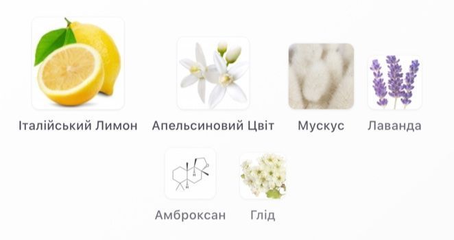 Maison Francis Kurkdjian Petit Matin Eau de Parfum Парфумована вода Унісекс 1 мл r-Maison-Francis-Kurkdjian-Petit-Matin-Eau-de-Parfum-Парфумована-вода-Унісекс фото