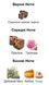 Montale Sensual Instinct Eau de Parfum 1 ml r-Montale-Sensual-Instinct-Парфумована вода-унісекс фото 2