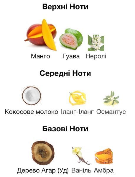 Dr. Gritti Mango Aoud Eau de Parfum 1 ml r-gritti-mango-aoud-Парфумована вода-унісекс фото