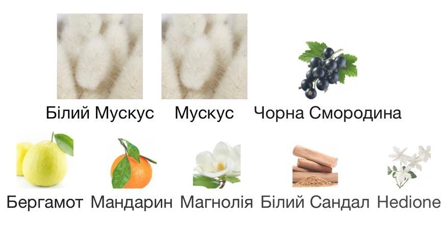 Initio Parfums Prives Musk Therapy Eau de Parfum 1 ml r-initio-musk-therapy-Парфумована вода-унісекс фото