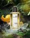 Mancera Cedrat Boise Eau de Parfum Парфумована вода Унісекс 1 мл r-Mancera-Cedrat-Boise-Eau-de-Parfum-Парфумована-вода-Унісекс фото 2