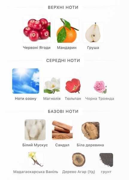 ZARKOPERFUME Cloud Collection No 3 Eau de Parfum Рарфумована вода Унісекс 1 мл r-ZARKOPERFUME-Cloud-Collection-No-3-Eau-de-Parfum-Рарфумована-вода-Унісекс фото