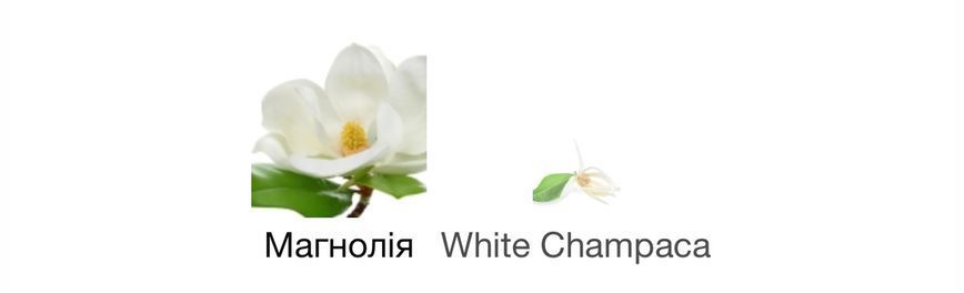 Chlo&eacute; Magnolia Alba Eau de Parfum 1 ml r-Chlo&eacute;-Magnolia-Alba фото