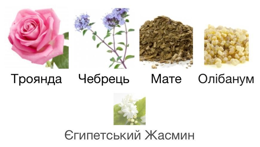 Genyum Writer Eau de Parfum 1 ml r-genyum-writer-Парфумована вода-унісекс фото