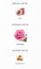 Dior Addict Rosy Glow Eau de Parfum Парфумована вода жіноча 1 мл r-Dior-Addict-Rosy-Glow-Eau-de-Parfum-Парфумована-вода-жіноча фото 4