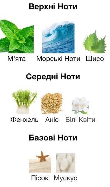 27 87 Perfumes Wandervogel Eau de Parfum 1 ml r-27-87-Wandervogel-Парфумована вода-унісекс фото