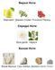 Haute Fragrance Company HFC SunMusk Eau de Parfum 1 ml r-Haute-Fragrance-Company-HFC-SunMusk фото 2
