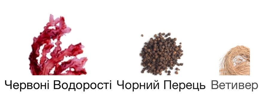 Genyum Painter Eau de Parfum 1 ml r-genyum-painter-Парфумована вода-унісекс фото