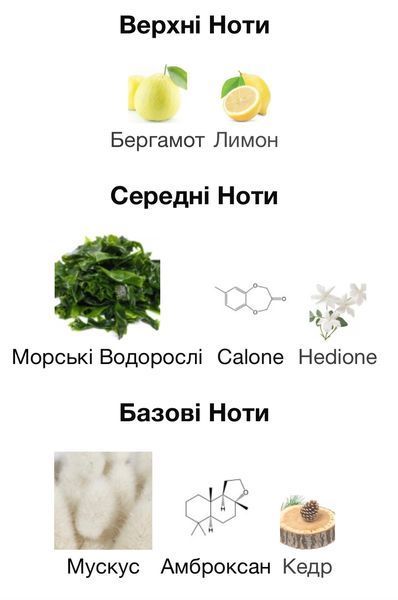 Orto Parisi Megamare Eau de Parfum 1 ml r-Orto-Parisi-Megamare-Парфумована вода-чоловіча фото