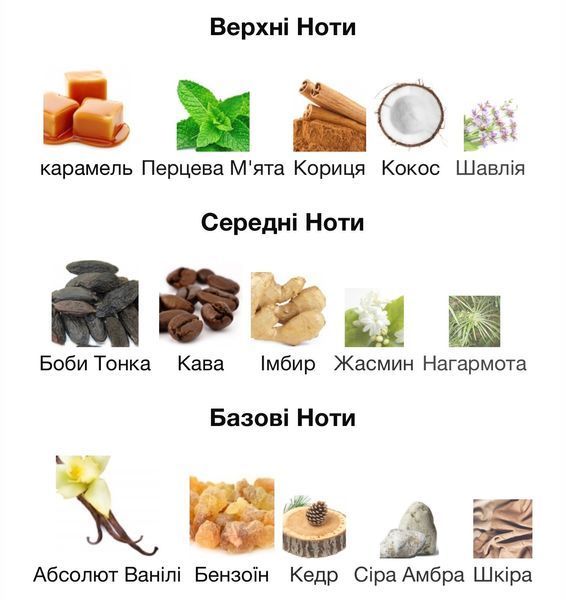 Hormone Paris This is not Caffeine Eau de Parfum 1 ml r-Hormone-Paris-This-is-not-Caffeine фото