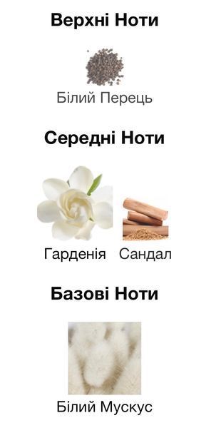 Attar Collection Musk Kashmir Extrait de Parfum 1 ml r-Attar-Collection-Musk-Kashmir-Парфум-унісекс фото