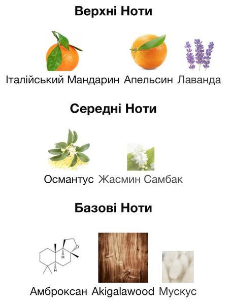Hormone Paris Gaba Eau de Parfum 1 ml r-Hormone-Paris-Gaba-Парфумована вода-унісекс фото