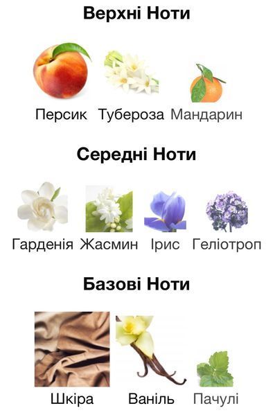 Nishane Hundred Silent Ways X Eau de Parfum 1 ml r-nishane-hundred-silent-ways-Парфумована вода-унісекс фото