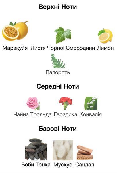 Tiziana Terenzi Cassiopea Eau de Parfum 1 ml r-Tiziana-Terenzi-Cassiopea-Парфумована вода-унісекс фото