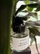 Byredo Black Saffron Eau de Parfum Парфумована вода Унісекс 1 мл r-Byredo-Black-Saffron-Eau-de-Parfum-Парфумована-вода-Унісекс фото 2