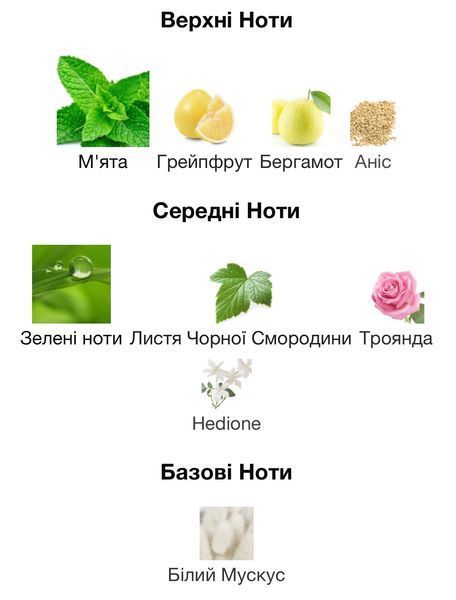 Etat Libre d'Orange You Or Someone Like You Eau de Parfum 1 ml r-Etat-Libre-d'Orange-You-Or-Someone-Like-You фото