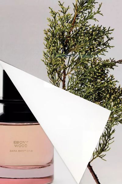 Zara Ebony Wood Eau de Parfum Парфумована вода унісекс 1 мл r-Zara-Ebony-Wood-Eau-de-Parfum-Парфумована-вода-унісекс фото