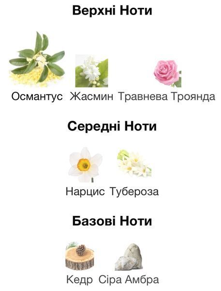 Dr. Gritti Adele Eau de Parfum 1 ml r-gritti-adele-Парфумована вода-жіноча фото